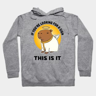 If you're looking for a sign this is it Capybara Angel Hoodie